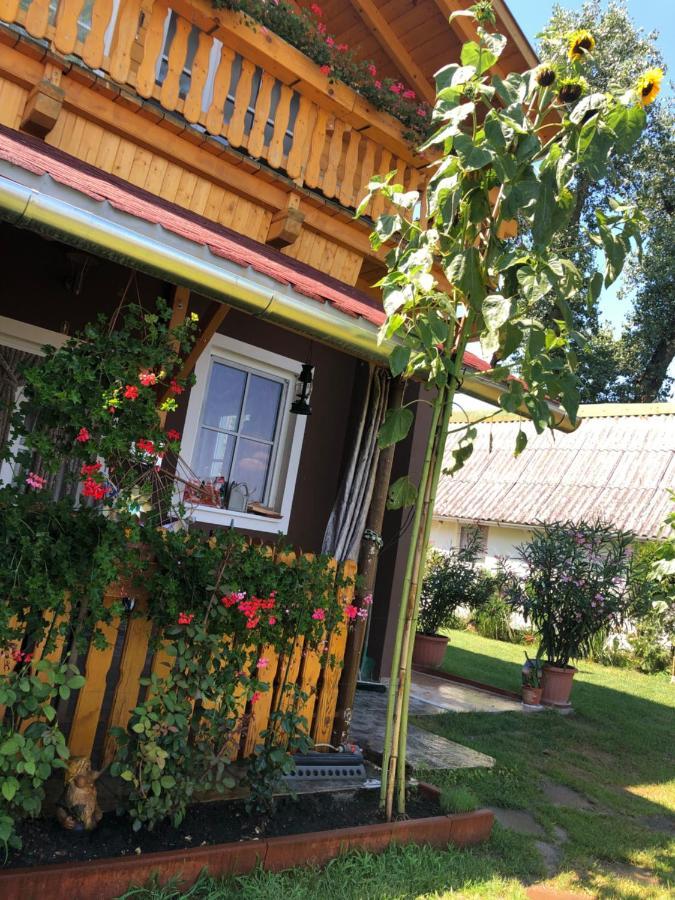 Hero 4 Sterne Ferienhaus Baja Zewnętrze zdjęcie